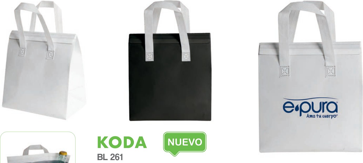 BL 261 · KODA