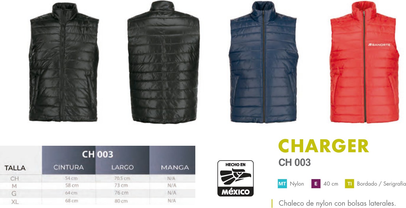 CH 003 · CHARGER