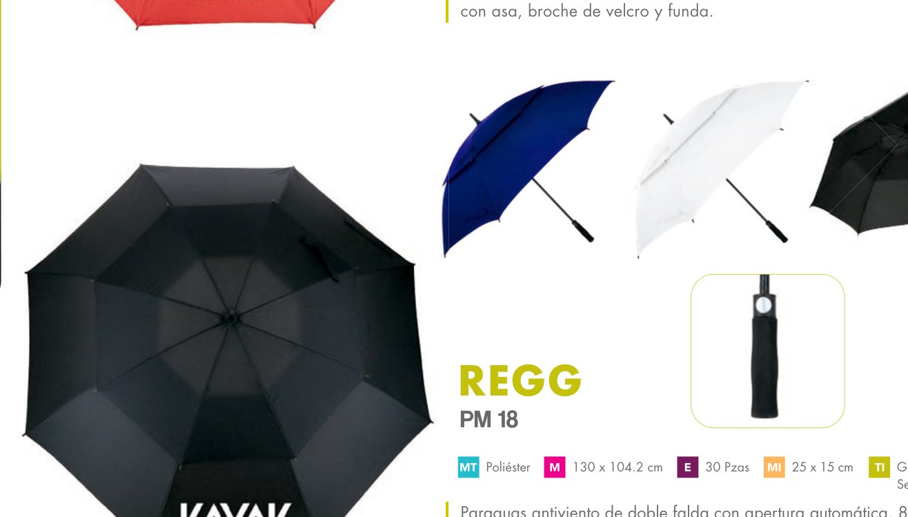 PM 18 · REGG