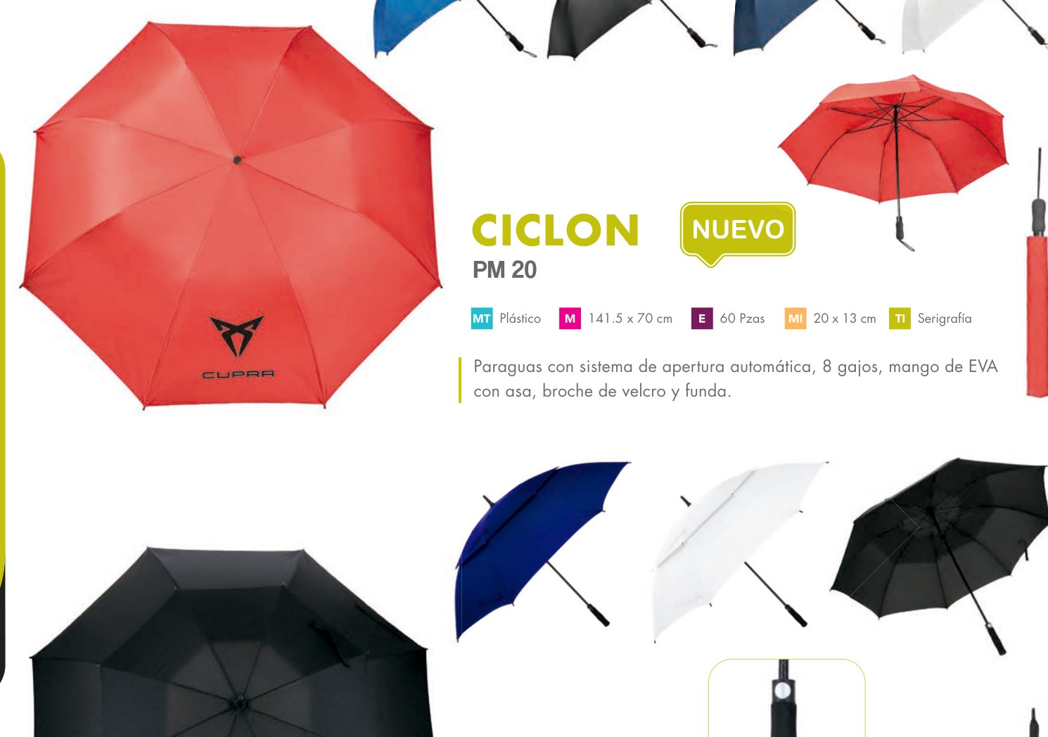 PM 20 · CICLON
