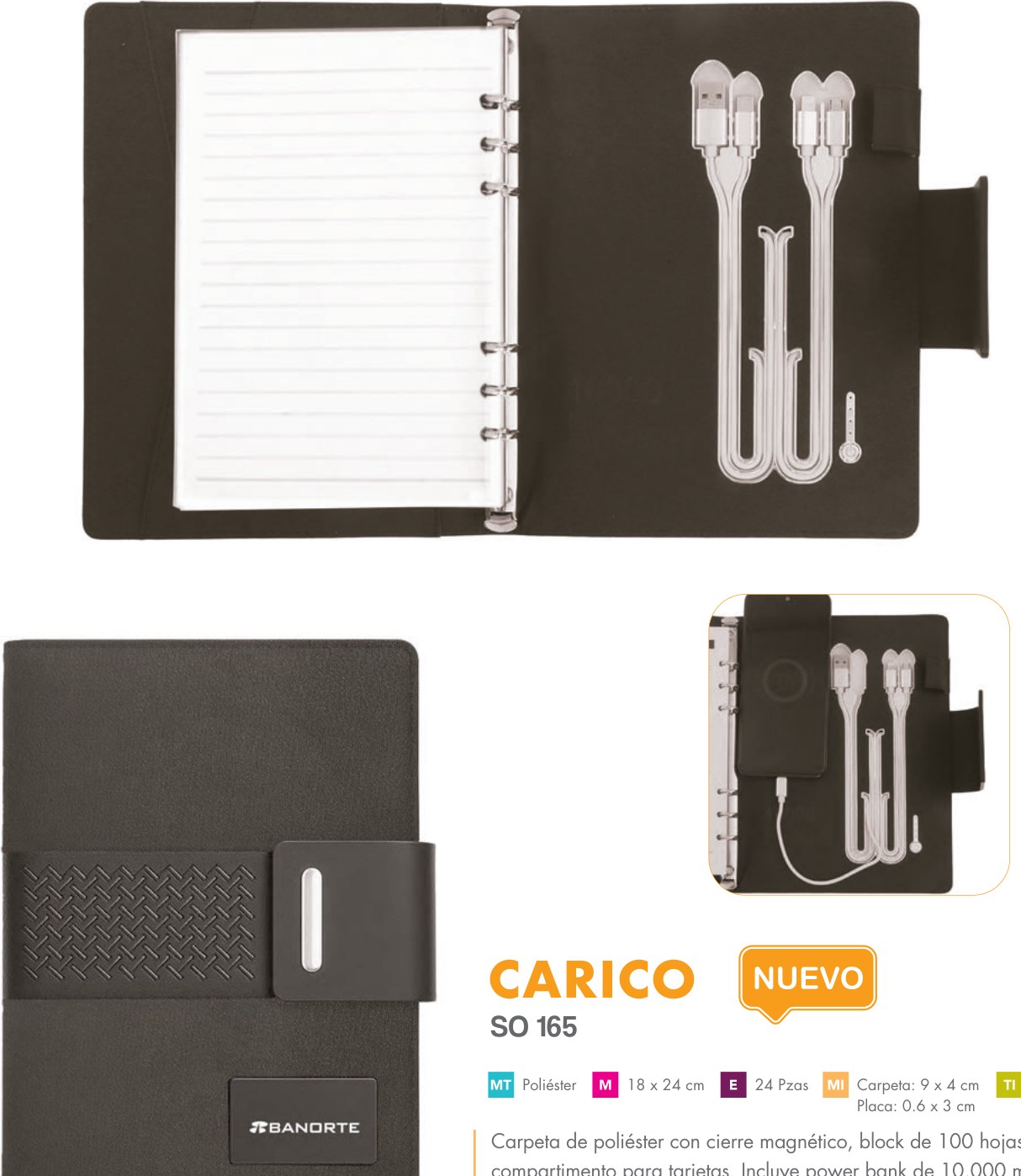 SO 165 · CARICO